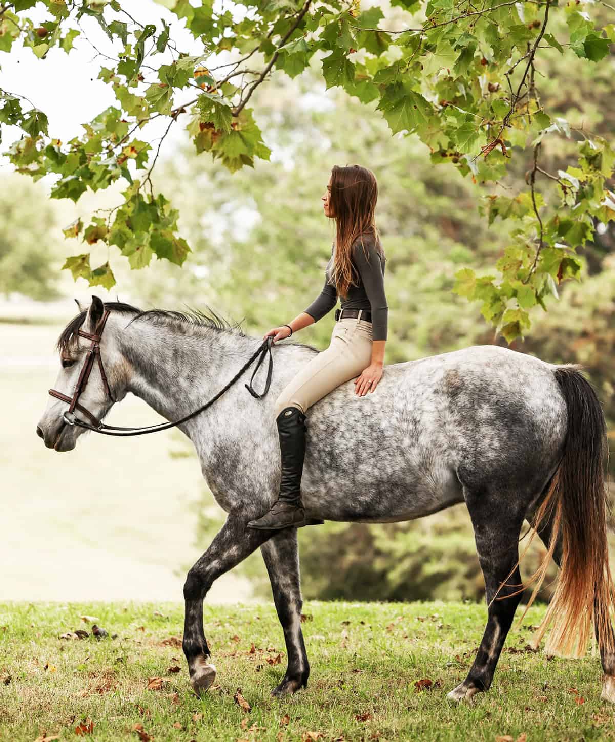 rider in tan breeches with fitted long sleeve top and tall boots in a natural outdoor setting, Best equestrian outfits for English riding