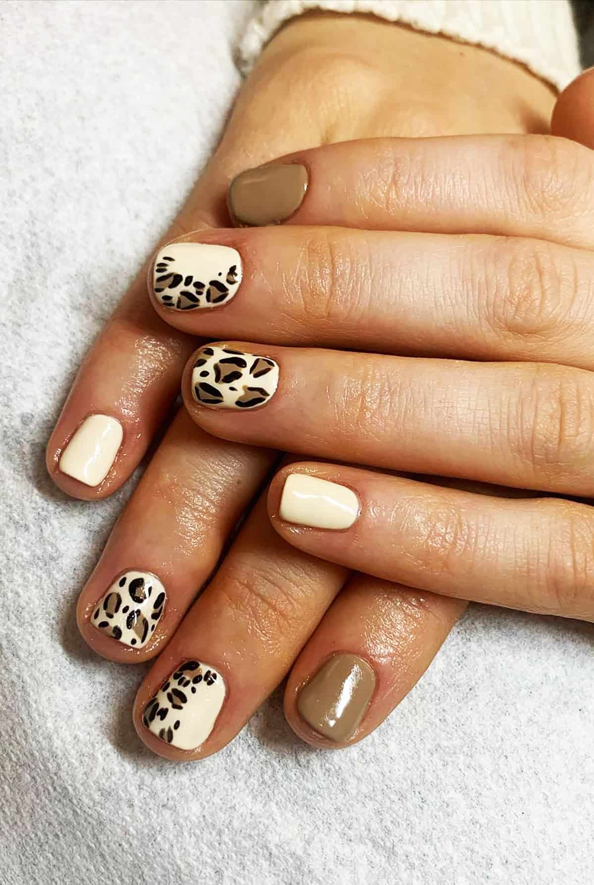 taupe cream leopard accent nails fall leopard print nails