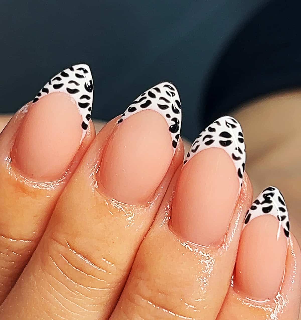nude almond white tip black leopard print nails