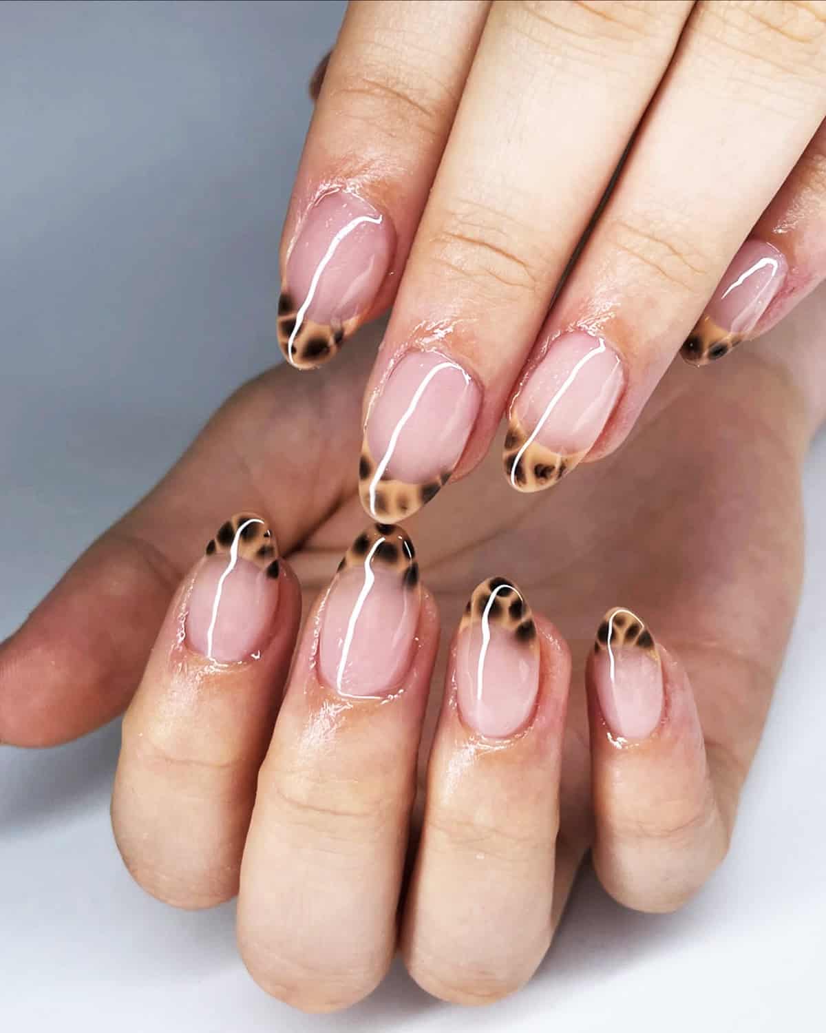 sheer nude leopard tip nails fall leopard print nails