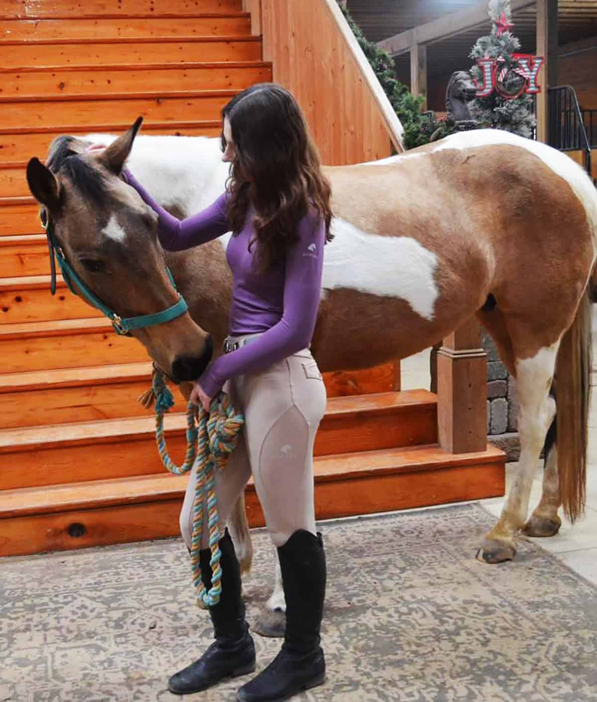 rider in purple base layer and beige breeches budget equestrian outfit