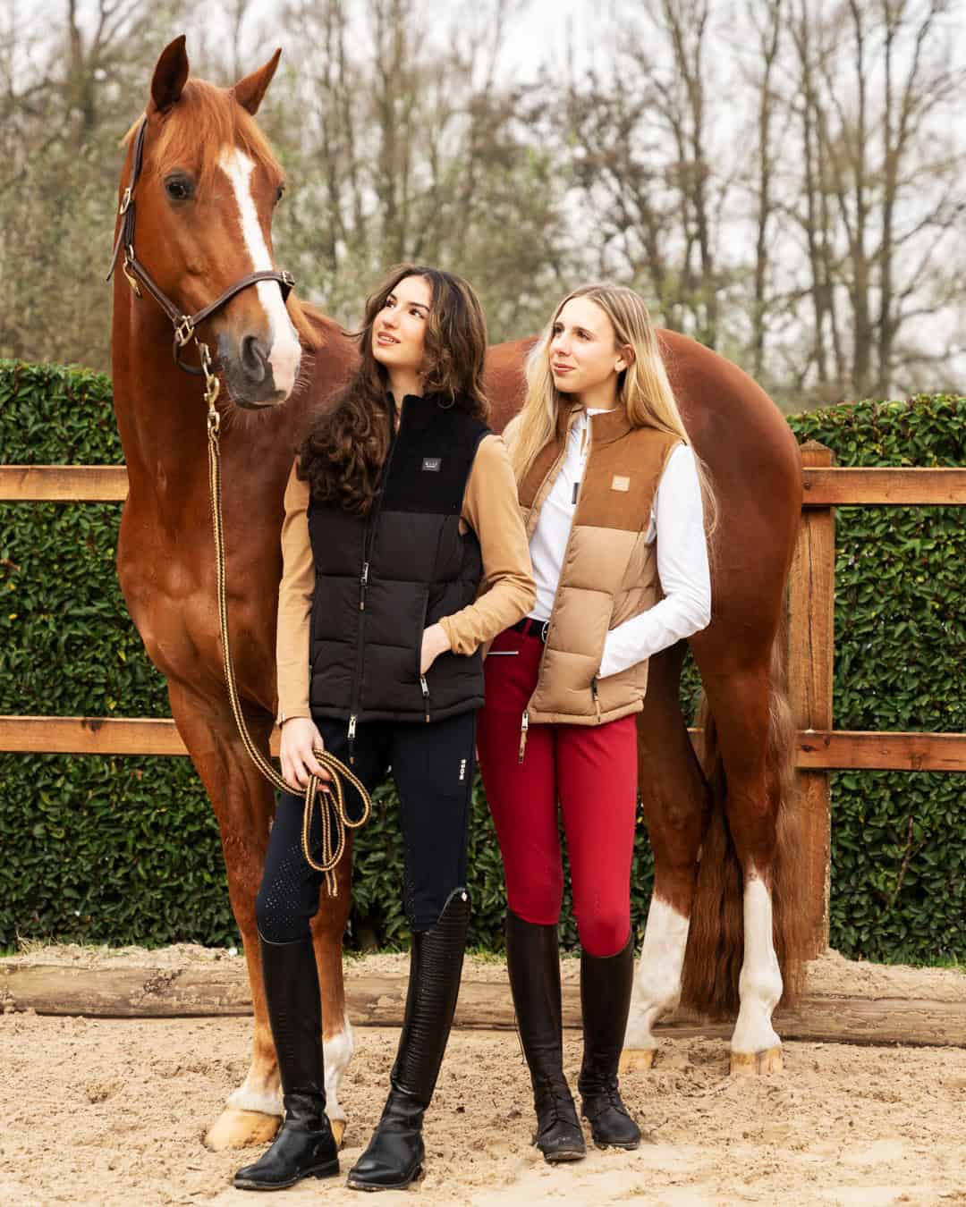 equestrian outfits with quilted vests