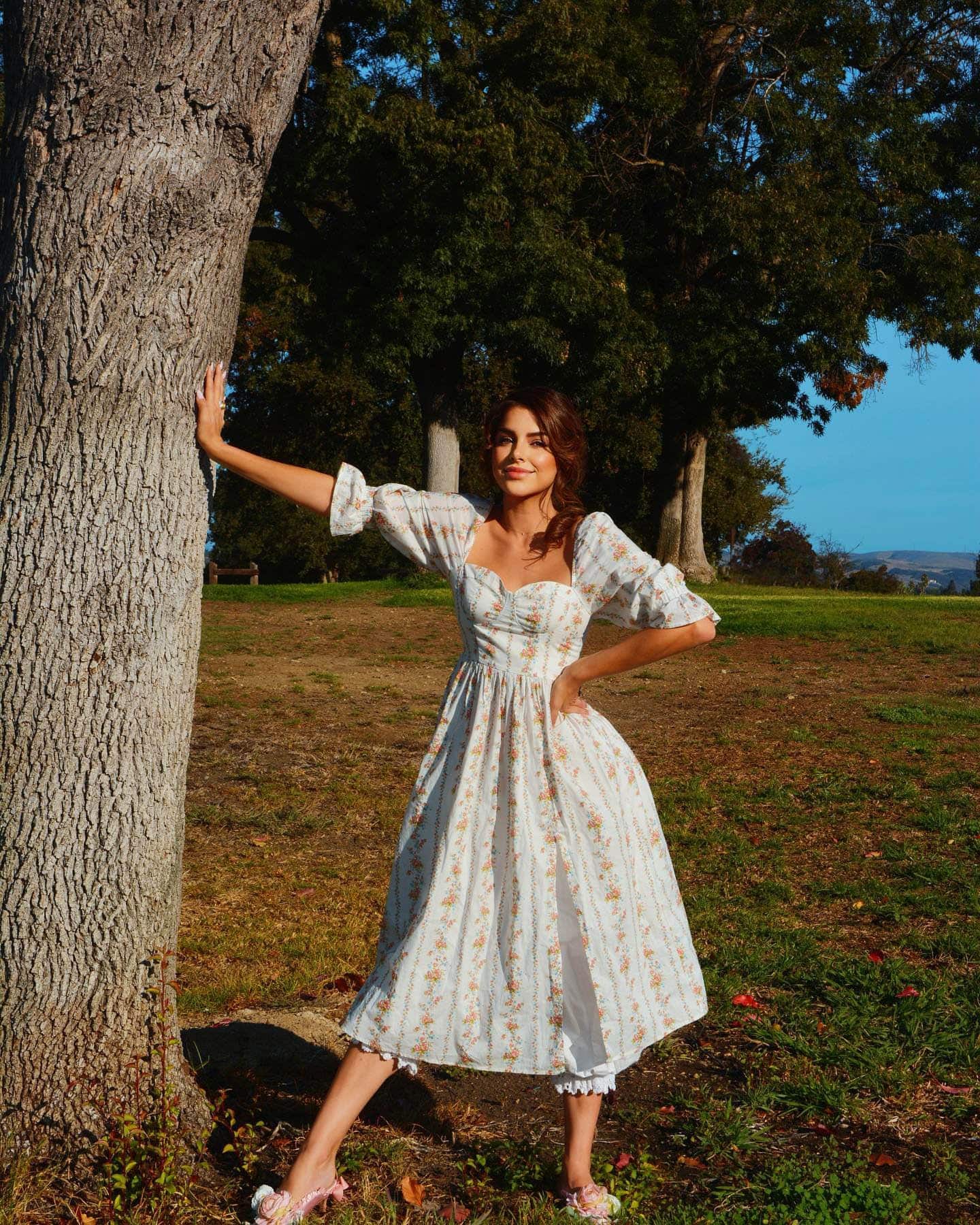 puff sleeve cottagecore dress